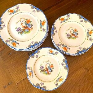 Elegant Blue, Cream and Orange Floral Dinner Plates 10” Sold per Set of 6